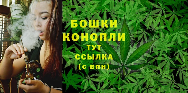 МДПВ Коряжма