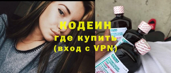 трава Корсаков