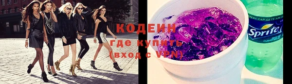 трава Корсаков