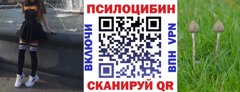 Галлюциногенные грибы MAGIC MUSHROOMS  omg   Киреевск  нарко площадка клад  что такое  
