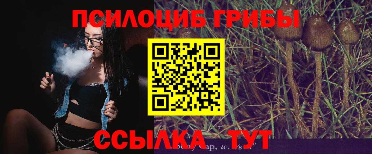 Галлюциногенные грибы мицелий  Киреевск 