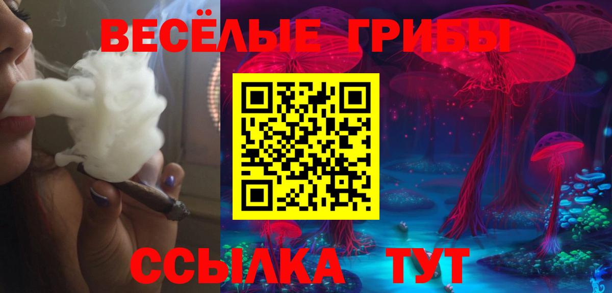 Киреевск  Галлюциногенные грибы мухоморы  Вход с VPN 